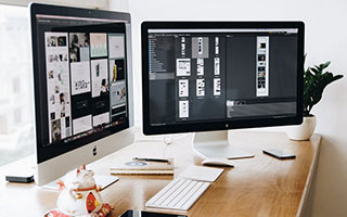 熊猫体育官网-传统舞狮运动会，文化与力量的精彩演绎