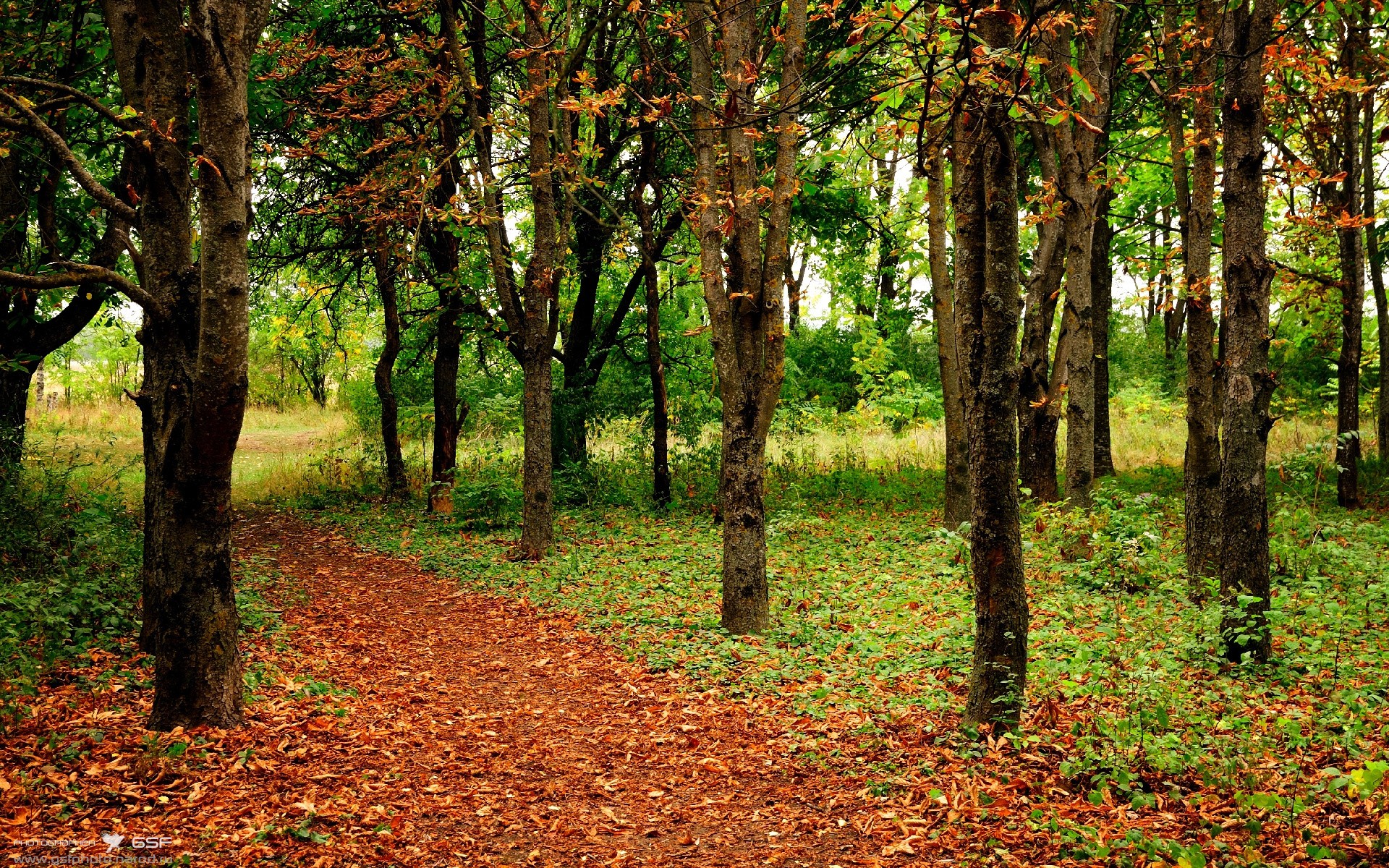 熊猫体育在线登录-职业联赛推广球员文化活动塑造职业形象，职业球员的素养